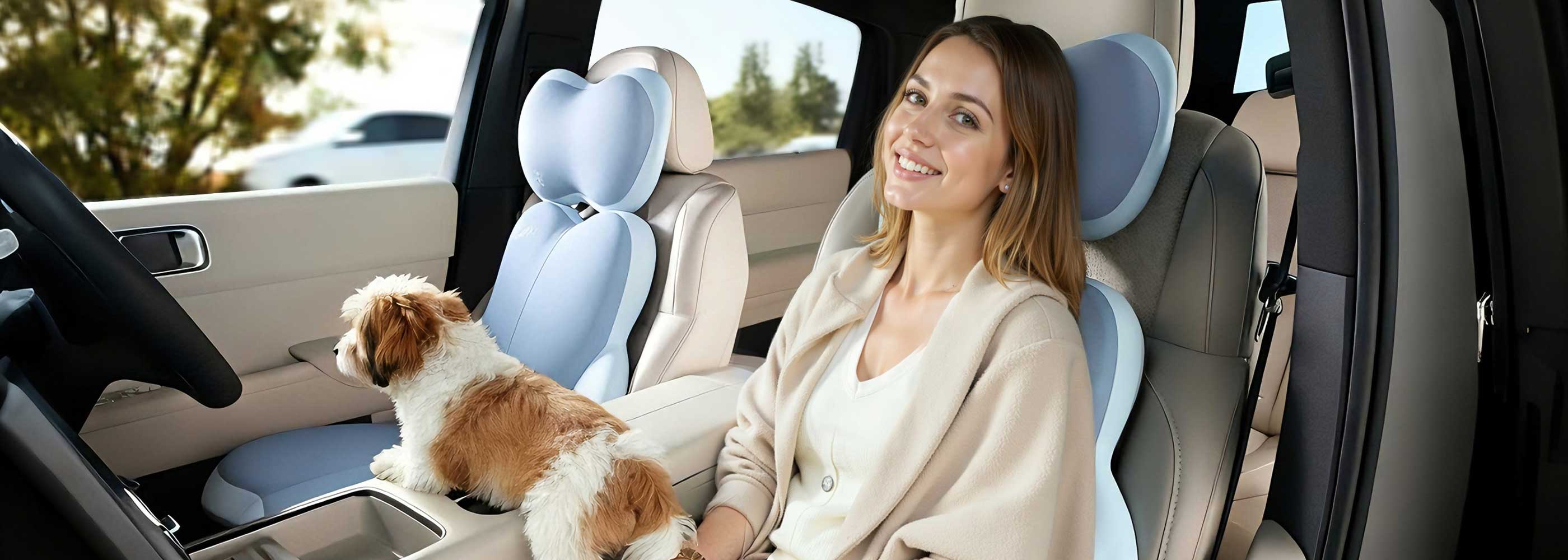 florich ergonomic seat cushion lumbar for driving