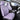 #color_purple